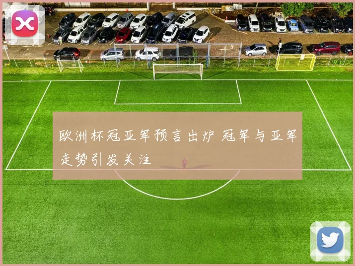 欧洲杯冠亚军预言出炉 冠军与亚军走势引发关注