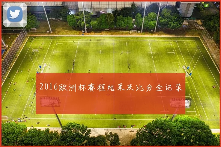2016欧洲杯赛程结果及比分全记录