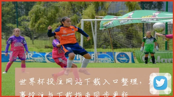 世界杯投注网站下载入口整理，赛事投注与下载指南同步更新